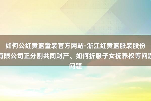 如何公红黄蓝童装官方网站-浙江红黄蓝服装股份有限公司正分割共同财产、如何折服子女抚养权等问题